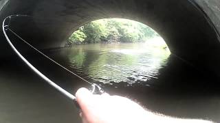 Salt Creek Indiana Steelhead Fishing 852014 [upl. by Magocsi193]