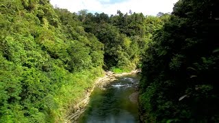 FIJI Water and Conservation International team up to protect Fiji’s rainforest [upl. by Yrreb]