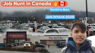 Job Hunt in Canada✌️🇨🇦 Reality of Jobs in Canada🇨🇦Jan Intake 2025🙆 Canada videos💫Canada Vlogs🤗 [upl. by Ydnir187]