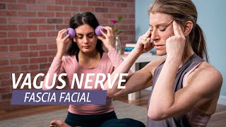 Fascia Facial Massage for Relaxation [upl. by Fulbright]