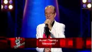 Auditii pe nevazute  Prima Editie  Aurel Niamtu  Vocea Romaniei 2013 S3 [upl. by Llenrev86]