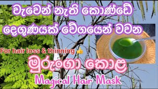 Moringa hair maskමුරුංගා කොළ මාස්ක්Murunga kola hair maskMoringa for hair growthhaircare routine [upl. by Redyr85]