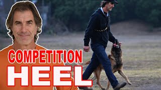 How to Teach Competition Focused Heel to Your Dog [upl. by Pierro]