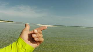 At Dickmans Pt sandbar checking out the beach and wildlife [upl. by Anivid]