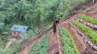 Build a terraced garden on a steep mountainside Grow pumpkins soybeans and radishes [upl. by Noivaz]