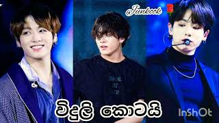 Viduli Kotai විදුලි කොටයි Bts mix Sinhala Song🌹Jungkook  Korean mix Sinhala Song 2022 [upl. by Tallu]