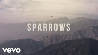 Jason Gray  Sparrows Official Lyric Video [upl. by Korry]