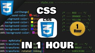 Learn CSS in 1 hour 🎨 [upl. by Cissie73]