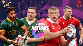 SPRINGBOKS vs WALES PREVIEW AND WEEKEND PREDICTIONS [upl. by Aelsel]