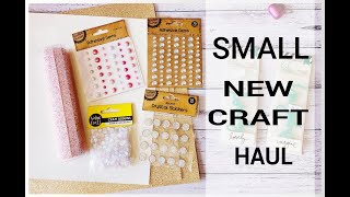 Small New Craft Haul  U Mart Scrapping Clearly Kaisercraft amp Craft Online [upl. by Yaron]