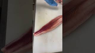 Skinning shark fillets fillet fish [upl. by Blondie]