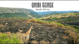 ORIBI GORGE  South Africa  2024 [upl. by Wilone513]