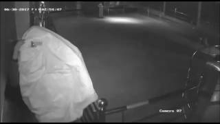 CCTV footage of thief breaking into Sai temple in Chandigarh [upl. by Rubia]