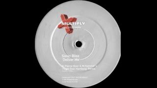 Sister Bliss  Deliver Me Hiver amp Hammer Remix Multiply Records 2001 [upl. by Lamp]