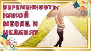 Какая Неделя и Месяц беременности [upl. by Uos]