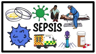 Sepsis Infection amp Septic Shock The Ultimate Guide to Symptoms and Treatment [upl. by Plotkin]