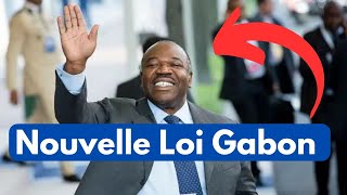 Gabon  Dispute autour de la Constitution  Un Sénateur Soppose à Oligui Nguema [upl. by Notsniw]