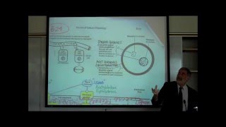 CELL MEMBRANES by Professor Fink [upl. by Kwapong658]