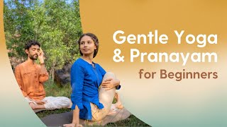 Easy Yoga Asanas amp Pranayama  30 Minutes  Hatha Asanas amp Anulom Vilom Pranayama [upl. by Fricke]