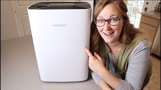 Dehumidifier Review  for Basement Wpsoert 80 Pints Dehumidifiers for Home Large Room [upl. by Eenafets]