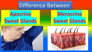 Structure Of Sweat Glands And Related Disorders  Dermatology  Anatomy of Sweat  Dr  Manish Soni [upl. by Sebastien574]