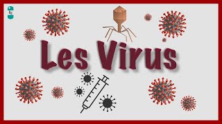 Quest ce quun Virus  Bases virologiques [upl. by Aysahc]