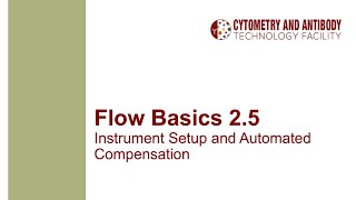 Flow Basics 25 Instrument Setup and Automated Compensation [upl. by Gruchot]