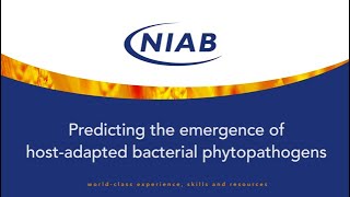 Predicting the emergence of hostadapted bacterial phytopathogens [upl. by Mervin]