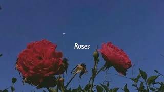 Roses  1 hour juice wrld [upl. by Sapphera597]