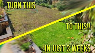 HOW TO FIX YOUR PATCHY LAWN IN JUST 3 WEEKS [upl. by Ailido]