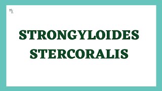 Strongyloides stercoralis  Threadworm  Life Cycle Symptoms Diagnosis Treatment  Nematodes [upl. by Laroy]