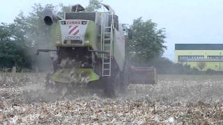 AGRIMAC  CLAAS Lexion 530 con CAPELLO Quasar R8 Mais 2010 [upl. by Notsew]