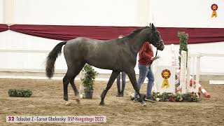 32 Taloubet Z Cornet Obolensky [upl. by Birmingham]