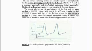 6 automaticity amp rhythmicity [upl. by Samale517]