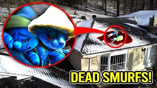 I FOUND DEAD SMURF CAT amp SMURFETTE IN REAL LIFE RUN SAVE THEM [upl. by Gehlbach]