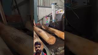 PLY WOOD 🪵 woodworking uwoodworkerfacts furniture wood woodwork interiordesign viralvideo [upl. by Birdt]