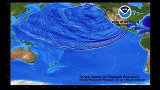 January 23 2018 Kodiak Alaska tsunami propagation [upl. by Llyrat591]