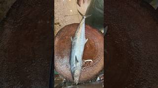 Kompilasi Cepat Filleting Ikan  Filleting Fish Fast Compilation fish 特大魚の捌き方 fishing fillet [upl. by Legge694]