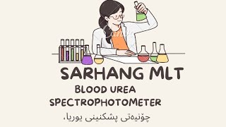 شرح طریقە العمل فحص الیوریا چۆنیەتی پشکنینی یوریا Blood urea procedure [upl. by Hooper]