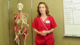 NWACC Physical Therapy Assistant Program [upl. by Tirrell]