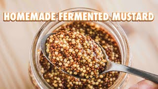 Easy Homemade Fermented Mustard [upl. by Aranat812]