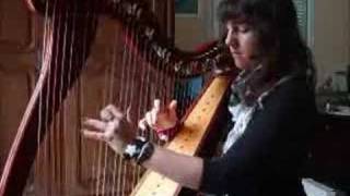 Davy Jones  Pirates des Caraïbes  harpe  harp [upl. by Croteau448]