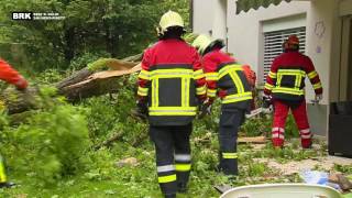 Schaffhausen Baum kracht auf ein Mehrfamilienhaus  Niemand verletzt  Feuerwehr im Einsatz [upl. by Janot349]