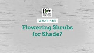 Flowering Shrubs for Shade [upl. by Nomal]