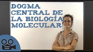 Dogma central de la biología molecular [upl. by Amye]