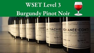 【廣東話】Burgundy Pinot｜考試秘訣、考官出題思路｜WSET Level 3 [upl. by Airahcaz]