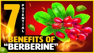 I Was Amazed by BERBERINE  7 Wonderful Benefits of Berberine You Should Know About [upl. by Ytissahc]