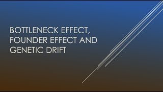 Genetic Drift Bottleneck Effect and Founder Effect  Biology [upl. by Essirahs133]