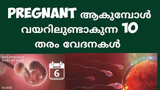 10 Early Pregnancy Stomach pains  Deechus world Malayalam [upl. by Attenna]