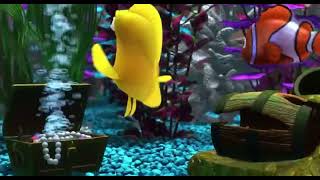 Finding Nemo Funny Bubbles fish speed [upl. by Leigh]